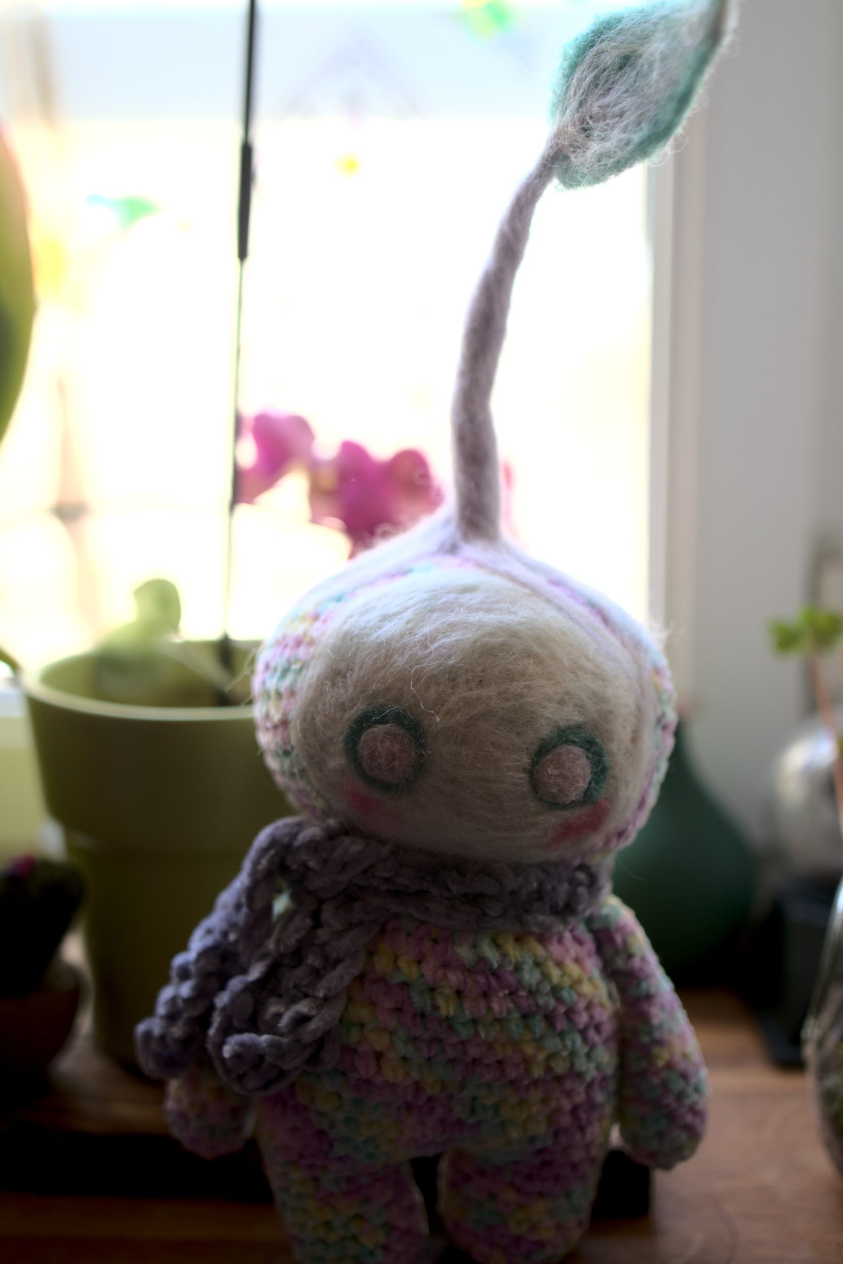 Delioù, le doudou bi-goût